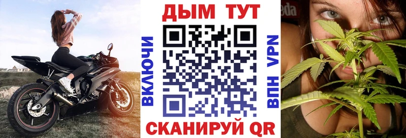 Купить закладки  Суздаль  Бошки марихуана Amnesia 